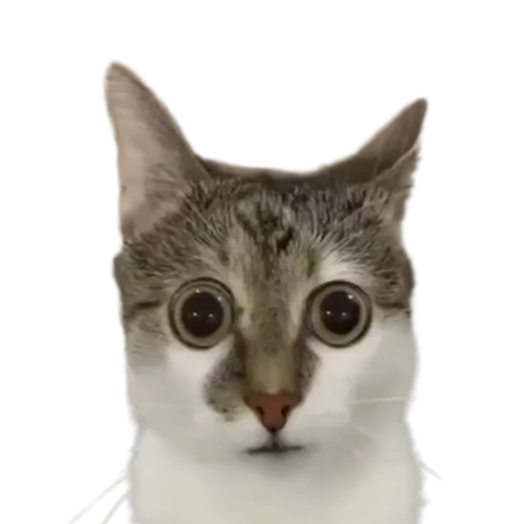 Loading Cat